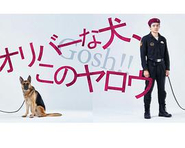 奥莉佛是狗,天哪!!这家伙